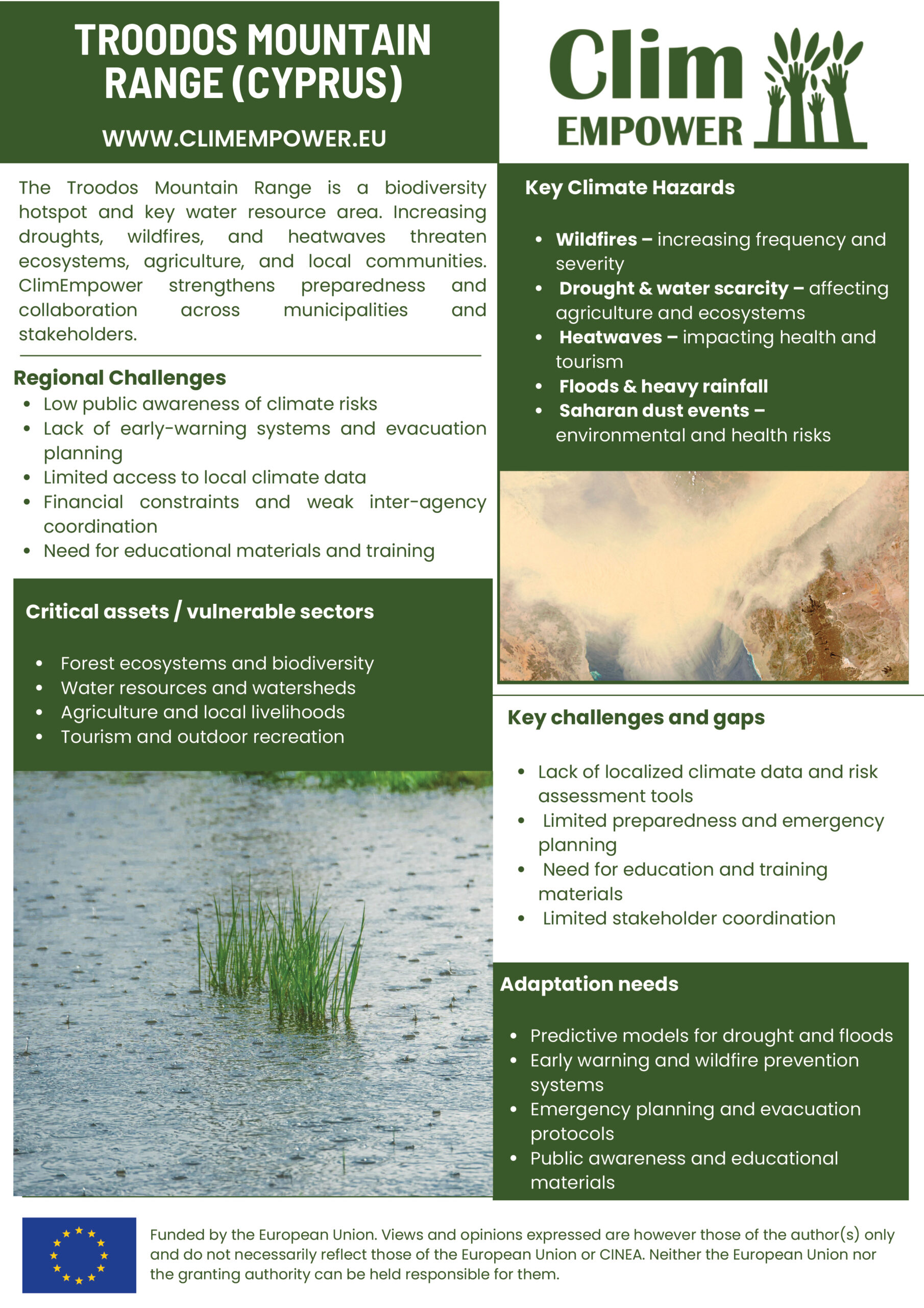 Blue and Yellow Minimalist Business Company Newsletter – kopij